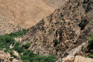 Marrakech to Ourika Valley: One-Day Trip. 4