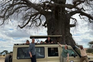 5-Day Mid Range Tour, Manyara, Serengeti & Ngorongoro  3