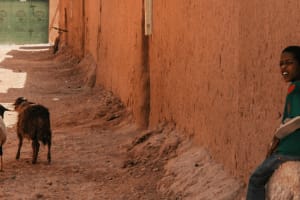 Marrakech: 5-Day Desert Trip via Kasbahs & Oasis. 3