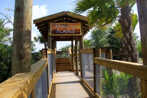 Wild About Florida with Safari Park Admission 3
