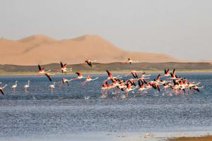 6 Days Morocco tour from Casablanca 4