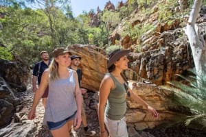 Alice Springs to Uluru: 4-Day Red Centre Adventure 3
