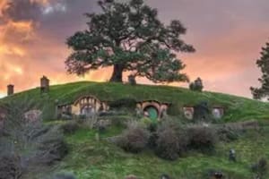 Hobbiton Movie Set Tour – Day Trip from Auckland 4