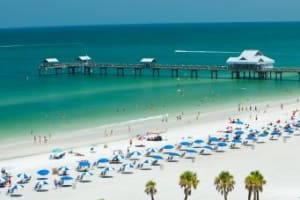 Clearwater Beach Day Trip with Transportation 4