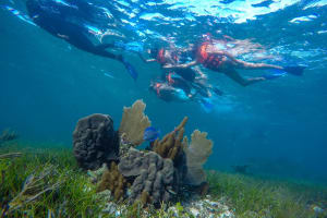Private Puerto Morelos Reef Snorkeling 4