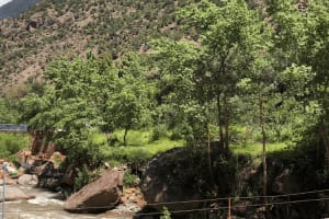 Marrakech to Ourika Valley: One-Day Trip. 3