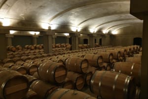 Oak barrels aging Sauternes wine in the dimly lit cellars of a Bordeaux château