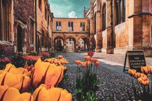 Oxbridge Audio Walking Tours - Guided By Expert Historian 4