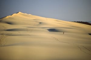 Panoramic view from the top of Dune du Pilat over the ocean and forest
