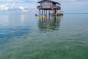Kayak the Seagrasses of Stiltsville 3