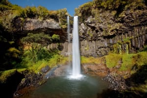 3 Days Aberdares Safari 4