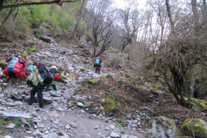 Langtang Valley Trek in Nepal 4