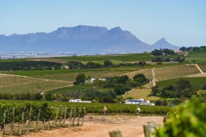 Looking down into the Stellenbosch valley with vineyards and mountains in the distance, and a group of cyclists enjoying the farm trails.