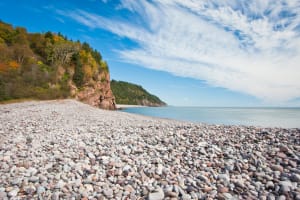 Hopewell Rocks Express Tour from Moncton 3
