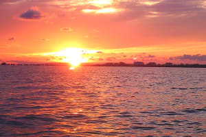 Guided Sunset Kayak Eco Tour of Pelican Bay 4