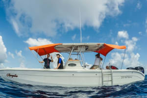 Swim with Whale Sharks in Cancun 3
