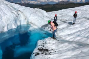 Matanuska Glacier Summer Tour - Greatland Adventures 3
