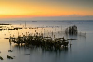 View over Arcachon Bay with oyster beds and boats at low tide