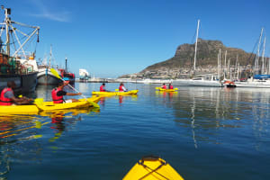 Photo of a tour group paddling their yellow kayaks in calm blue water in Hout Bay with yachts and fishing boats in the background.