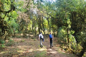 Mardi Himal Trek 3