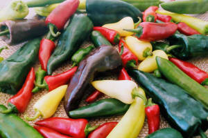 Chiles the source of flavor Cooking Class 4