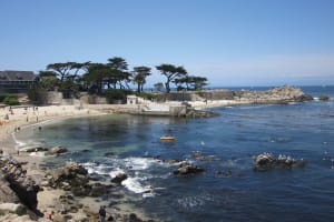 Scenic coastal beach cove with sandy shores, rocky outcrops, cypress trees, and visitors swimming in clear blue water