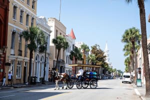 Horse-Drawn Carriage Tour of Historic Charleston 4