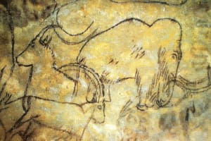 Paleolithic Art Of The Dordogne FD Trip From Sarlat private 3