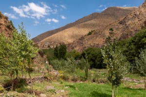 Marrakech to Imlil & Atlas Mountains: One-Day Trip 3