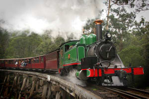 Puffing Billy Half-Day Tour from Melbourne 3