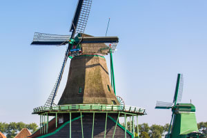 Countryside and windmills tour from Amsterdam 4