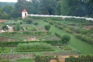Gardens & Groves Tour 3