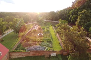 Grounds Pass & Gardens and Groves Tour 4