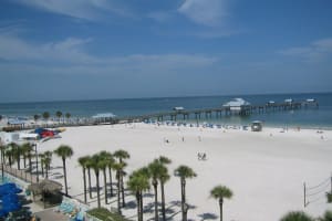 Clearwater Day Trip & Sea Screamer Ride with Optional Lunch 4