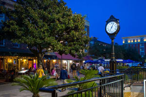 Scenic Savannah Night Tour with Riverboat Sunset Cruise 4