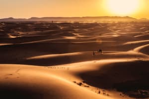 Marrakech to Fes, Atlas, and Merzouga: 3-Day Trip. 4