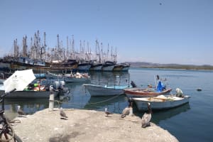 Seafood Secrets tour 4