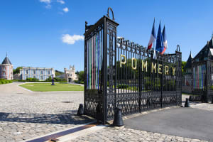 Champagne Tour visit 2 local wineries From Reims (shared) 3