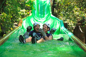 Outdoor Zip Line Adventure 3