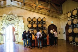 Tour group gathered in a wine barrel cellar with ornate architectural details and wooden barrels on display.