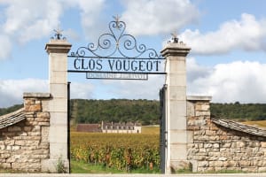 Full-Day Burgundy Wine Tour from Beaune (shared) 4