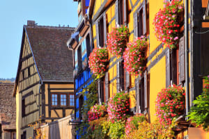 Luxury Arts, Crafts & Spirits of Alsace (private) 3