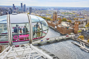 Official London Eye + Madame Tussauds London + SEA LIFE London Aquarium 4