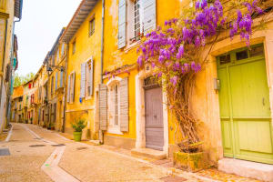 Arles Guided Walking Tour (private) 4