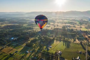 Vol en montgolfière au lever du soleil au-dessus des vignobles de Walla Walla 4