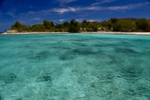 Full Day Private Charter: Snorkeling, Turtles, Beach Hopping 4
