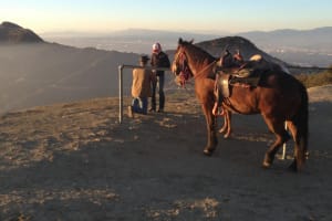 Mt Hollywood Day Tour 4