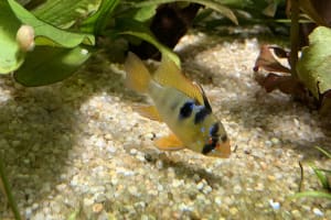 Tickets for Aquarium de Paris & Self-Guided Tours in Paris 3