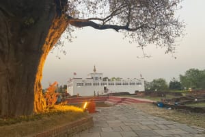 Lumbini Day Tour 3