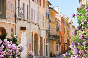 Avignon Guided Walking Tour (private) 4